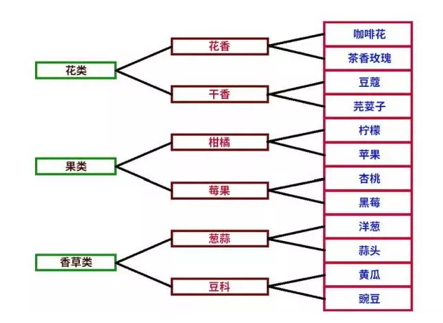 咖啡杯測(cè),香氣,咖啡